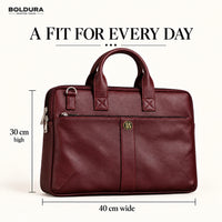 The Portfolio